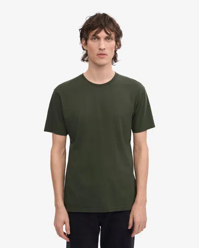 Colorful Standard Classic Organic T-shirt In Green