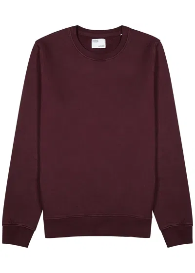Colorful Standard Cotton Sweatshirt In Burgundy