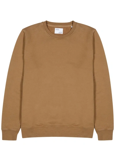Colorful Standard Cotton Sweatshirt In Brown