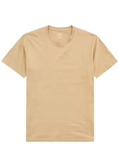 Colorful Standard Cotton T-shirt In Khaki