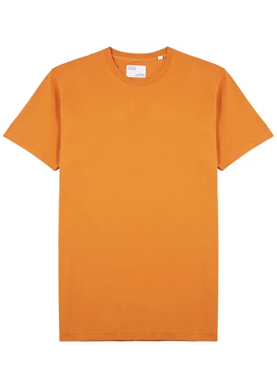 Colorful Standard Cotton T-shirt In Orange