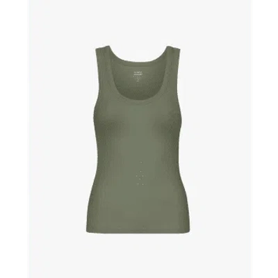 Colorful Standard Cs2054 Women Organic Rib Tank Top Dusty Olive In Green