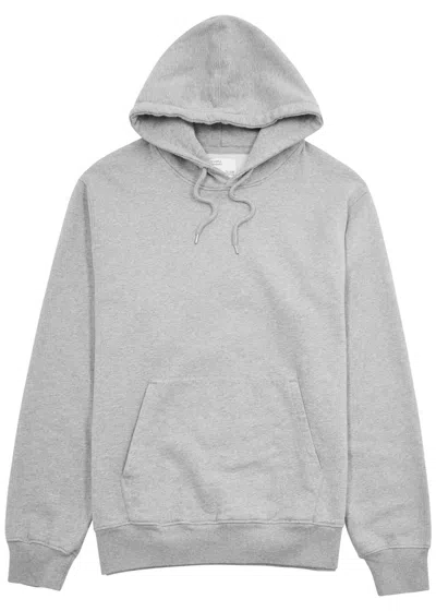 Colorful Standard Hooded Cotton Sweatshirt In Grey