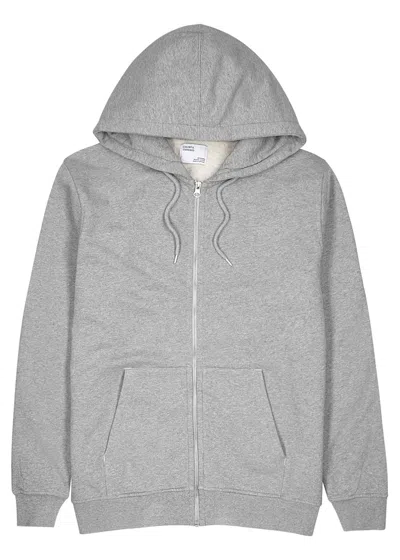 Colorful Standard Hooded Cotton Sweatshirt In Light Grey