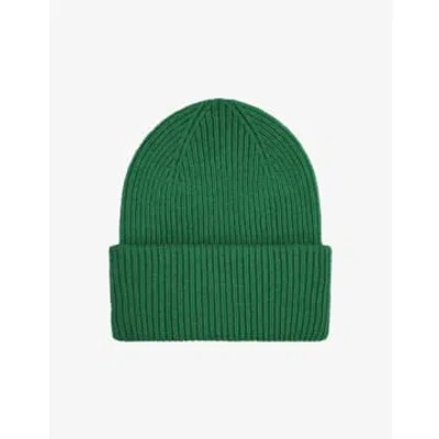 Colorful Standard Kelly Green Merino Wool Hat