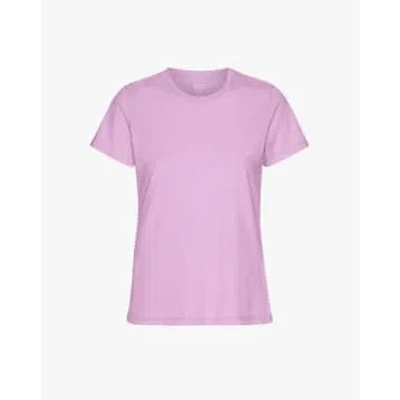 Colorful Standard Light Organic Tee In Neutral