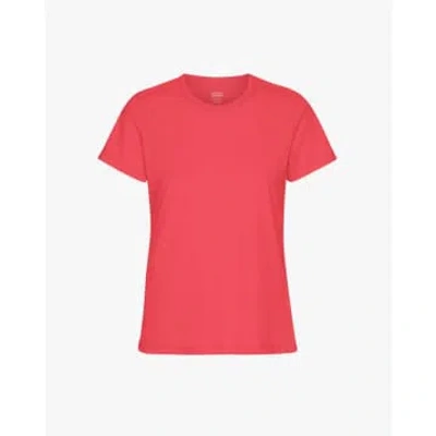 Colorful Standard Light Organic Tee In Red