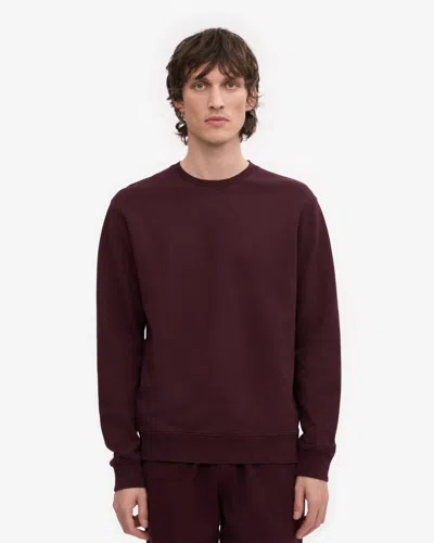 Colorful Standard Mens Classic Organic Crew Neck Sweatshirt In Oxblood Red
