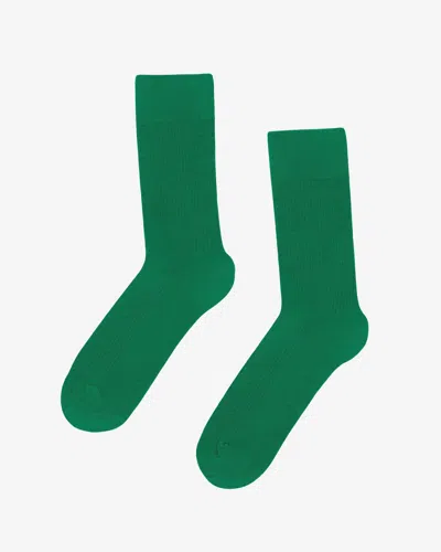 Colorful Standard Mens Classic Organic Socks In Green