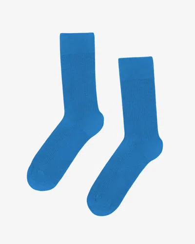 Colorful Standard Mens Classic Organic Socks In Blue