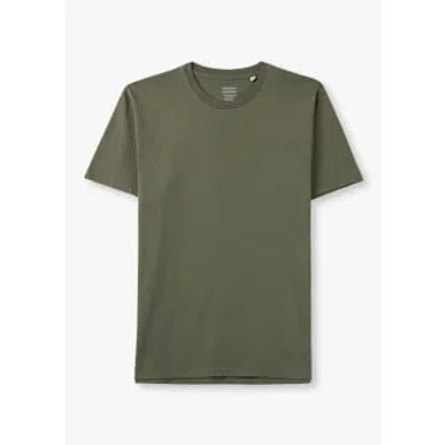 Colorful Standard Mens Classic Organic T-shirt Dusty Olive In Green