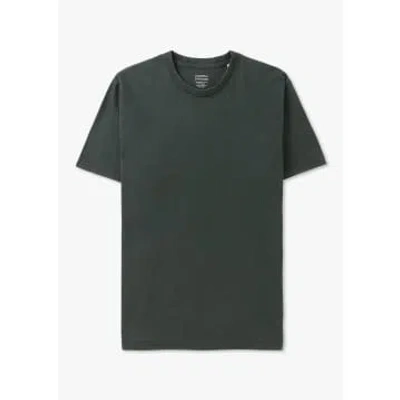 Colorful Standard Mens Classic Organic T-shirt In Hunter Green