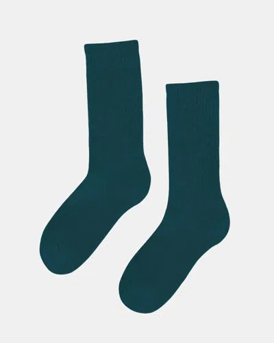 Colorful Standard Mens Organic Active Socks In Green