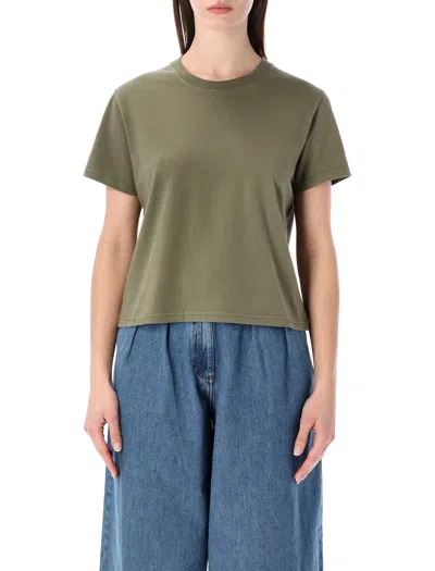 Colorful Standard Organic Boxy Crop Tee In Green