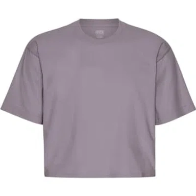 Colorful Standard Purple Haze Organic Boxy Crop T-shirt