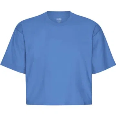Colorful Standard Sky Blue Organic Boxy Crop T-shirt