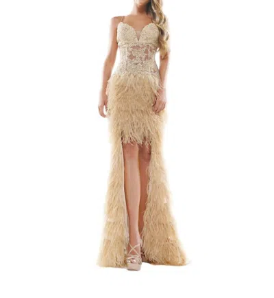 Colors Dress Deep Sweetheart Maxi Dress In Nude In Brown