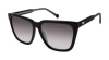 Colors In Optics Calypso Sunglasses In Glossy Black