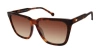 Colors In Optics Calypso Sunglasses In Tortoise Brown