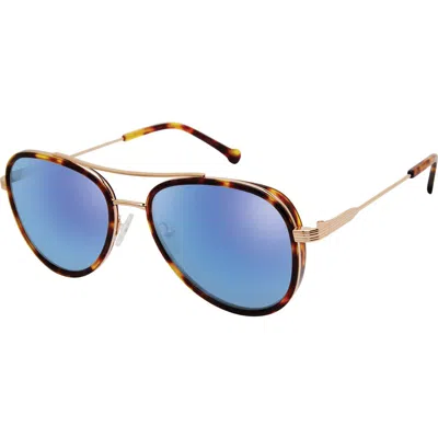 Colors In Optics Hampton Sunglasses In Blue