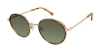 Colors In Optics Lenny Sunglasses In Honey Tortoise