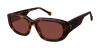 Colors In Optics Luna Sunglasses In Tortoise