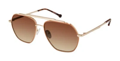 Colors In Optics Mariner Sunglasses In Brown