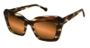 Colors In Optics Monaco Sunglasses In Havana Tortoise