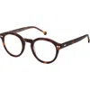 Colors In Optics Preston Reading Glasses In Brown