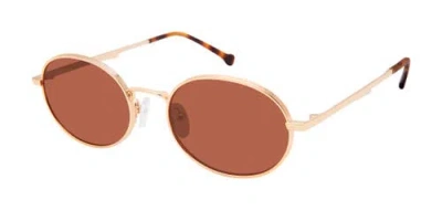 Colors In Optics Prince Sunglasses In Gold Tortoise