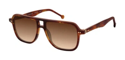 Colors In Optics Redford Sunglasses In Green