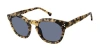 Colors In Optics Sullivan Sunglasses In Multi