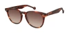 Colors In Optics Wooster Sunglasses In Maple Tortoise