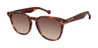 Colors In Optics Wooster Sunglasses In Maple Tortoise
