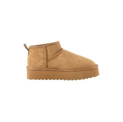 Colors Of California - Platform Boot In Suede Tan Hc.ywpla01 In Sand