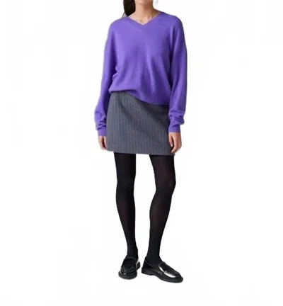 Colorush Malibu V-neck Sweater In Fig In Purple