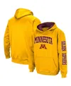 Colosseum Big Boys  Gold Minnesota Golden Gophers 2-hit Pullover Hoodie In Gold