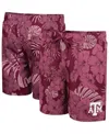 Colosseum Men's  Maroon Texas A&m Aggies The Dude Swim Shorts In Maroon