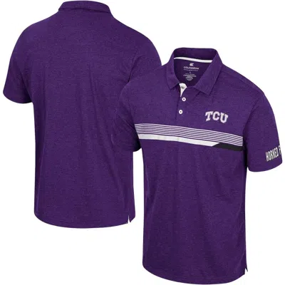Colosseum Purple Tcu Horned Frogs No Problemo Polo