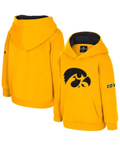 Colosseum Babies' Toddler Gold Iowa Hawkeyes Big Logo Volume Fleece Pullover Hoodie In Orange