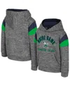 Colosseum Toddler Gray Notre Dame Fighting Irish Wizard City Hoodie In Gray