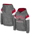Colosseum Toddler Gray Ohio State Buckeyes Wizard City Hoodie In Gray
