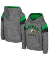 Colosseum Toddler Gray Oregon Ducks Wizard City Hoodie In Gray