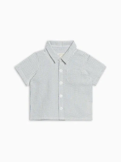 Colroed Organics Babies'  Organic Landon Seersucker Button Down