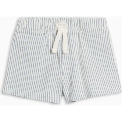 Colroed Organics Babies'  Organic Nixie Seesucker Shorts