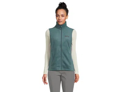 Columbia Benton Springstm Vest In Blue
