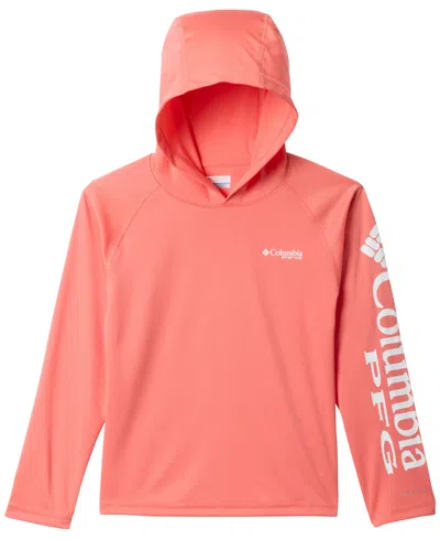 Columbia Kids' Boys' 8-20 Terminal Tackle Hoodie In Pink