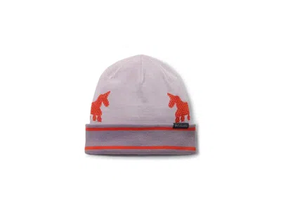 Columbia Kitterwibbit Beanie (big Kid) Traditional Hats Lavender Pearl/shale Purple/zing, Acrylic