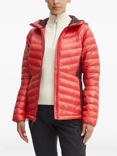 Columbia Labyrinth Loop Hooded Quilted Jacket In Red