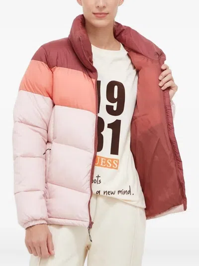 Columbia Logo-print Puffer Jacket In Pink